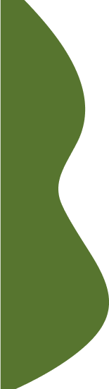 separatore-comando-verde